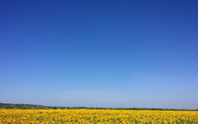 Comment utiliser le Growth Hacking B2C pour faire évoluer votre entreprise