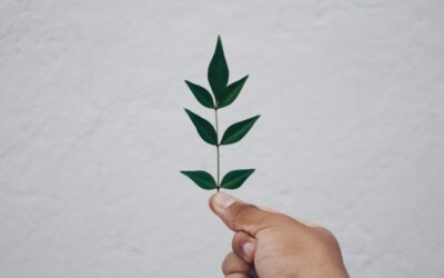 La recette du growth hacking B2B pour une croissance insolente