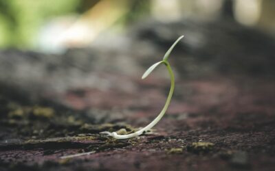 Growth hacking pour les agences immobilières : comment développer votre business plus rapidement ?