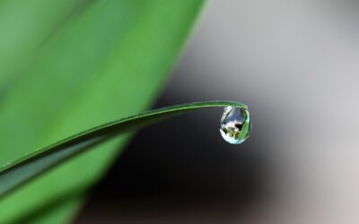 Améliorez votre présence sur Instagram avec ces astuces de growth hacking