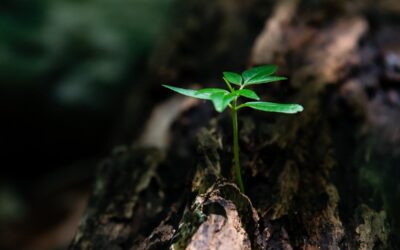 Growth hacking LinkedIn : 4 hacks indispensables !