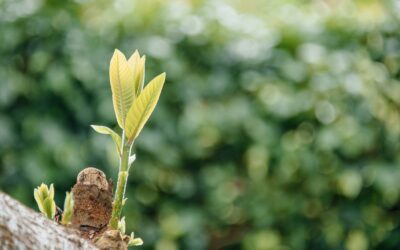 Augmenter les vues sur Youtube avec le growth hacking